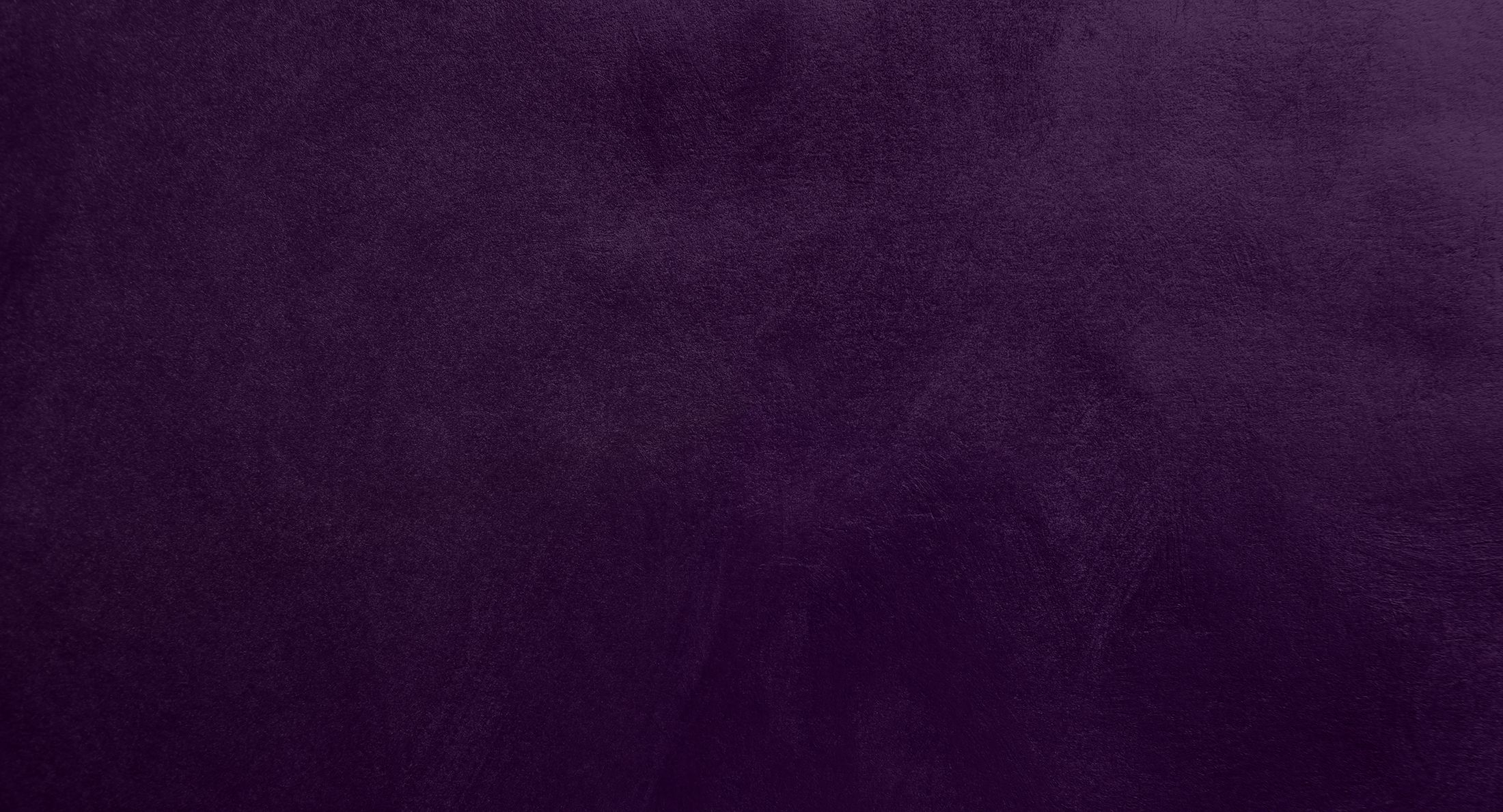 Solid purple textured background.